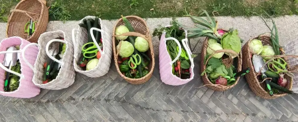 万博体育
